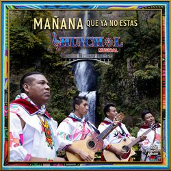 Cover of Mañana Que Ya No Estas