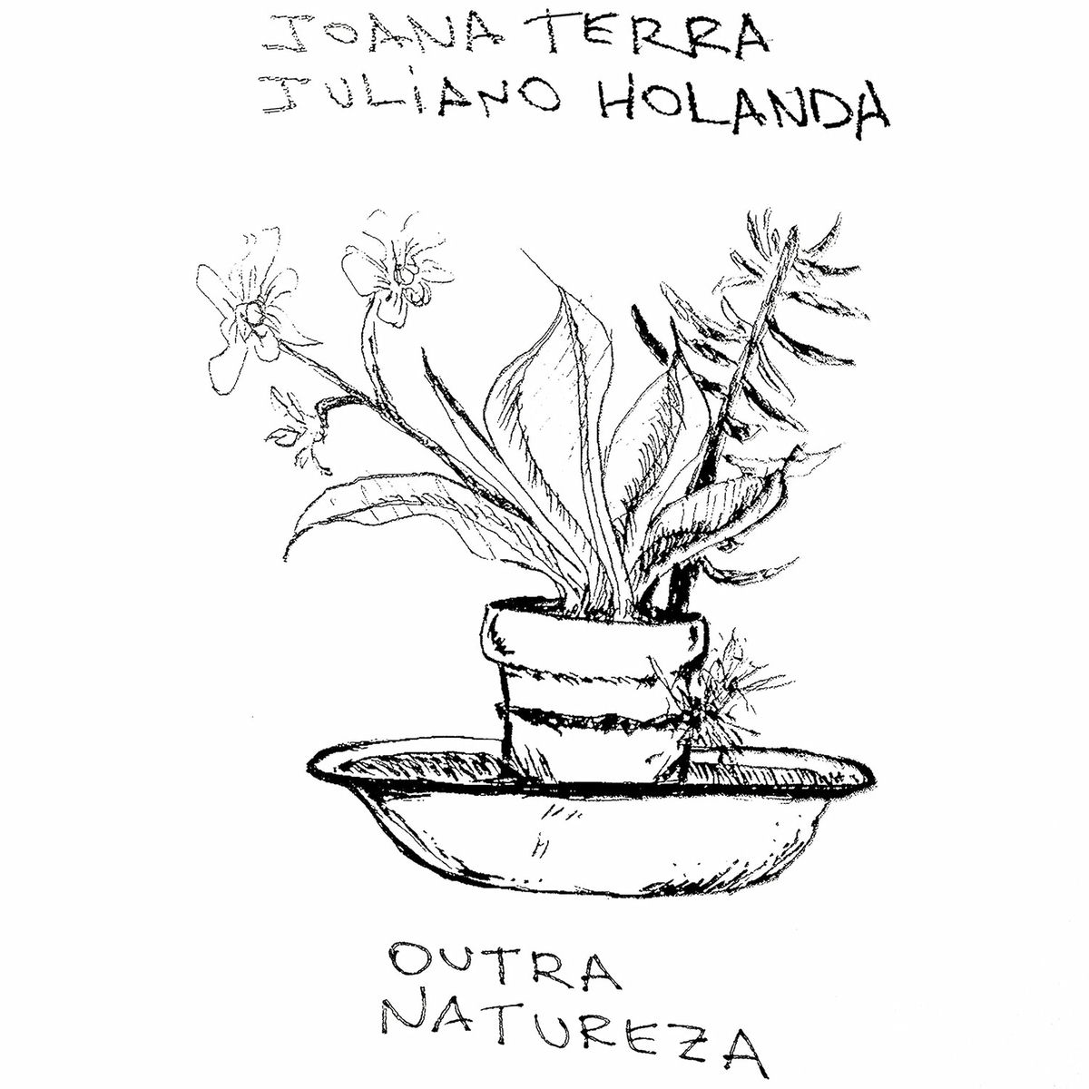 Album cover of Outra Natureza