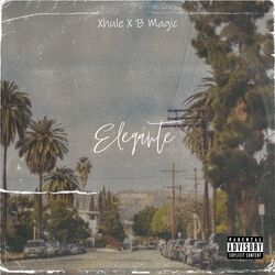 Cover of Elegante