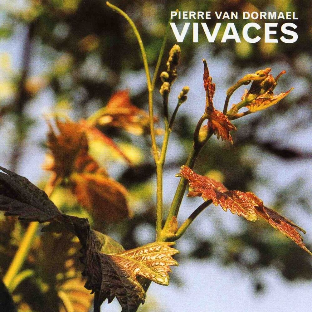 Picture of Vivaces