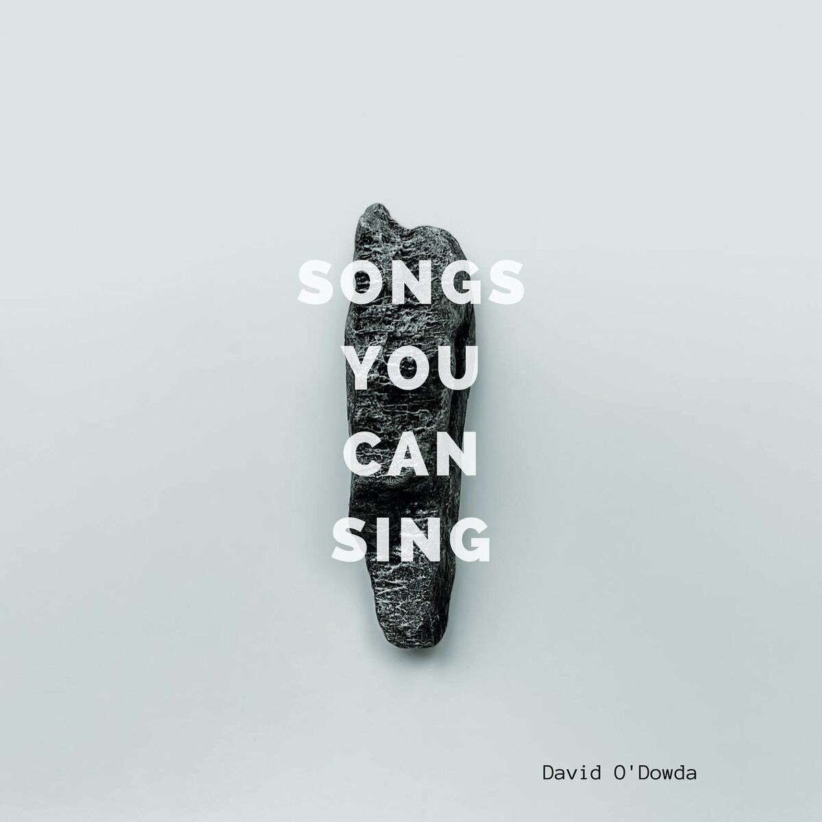 Album cover of Songs You Can Sing