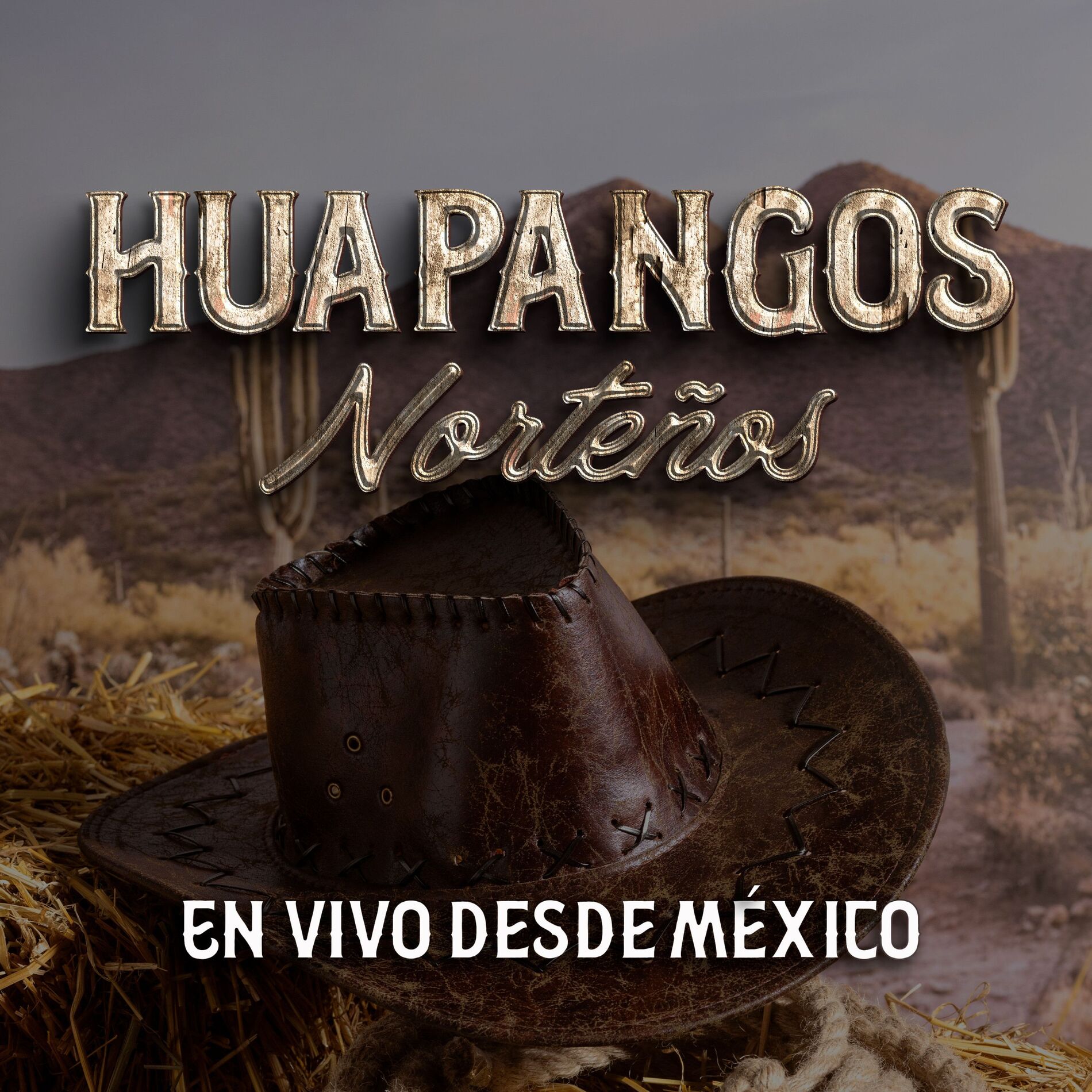 Album cover of La Modelo