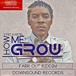 Cover of How Me Grow