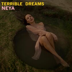 Cover of Terrible Dreams