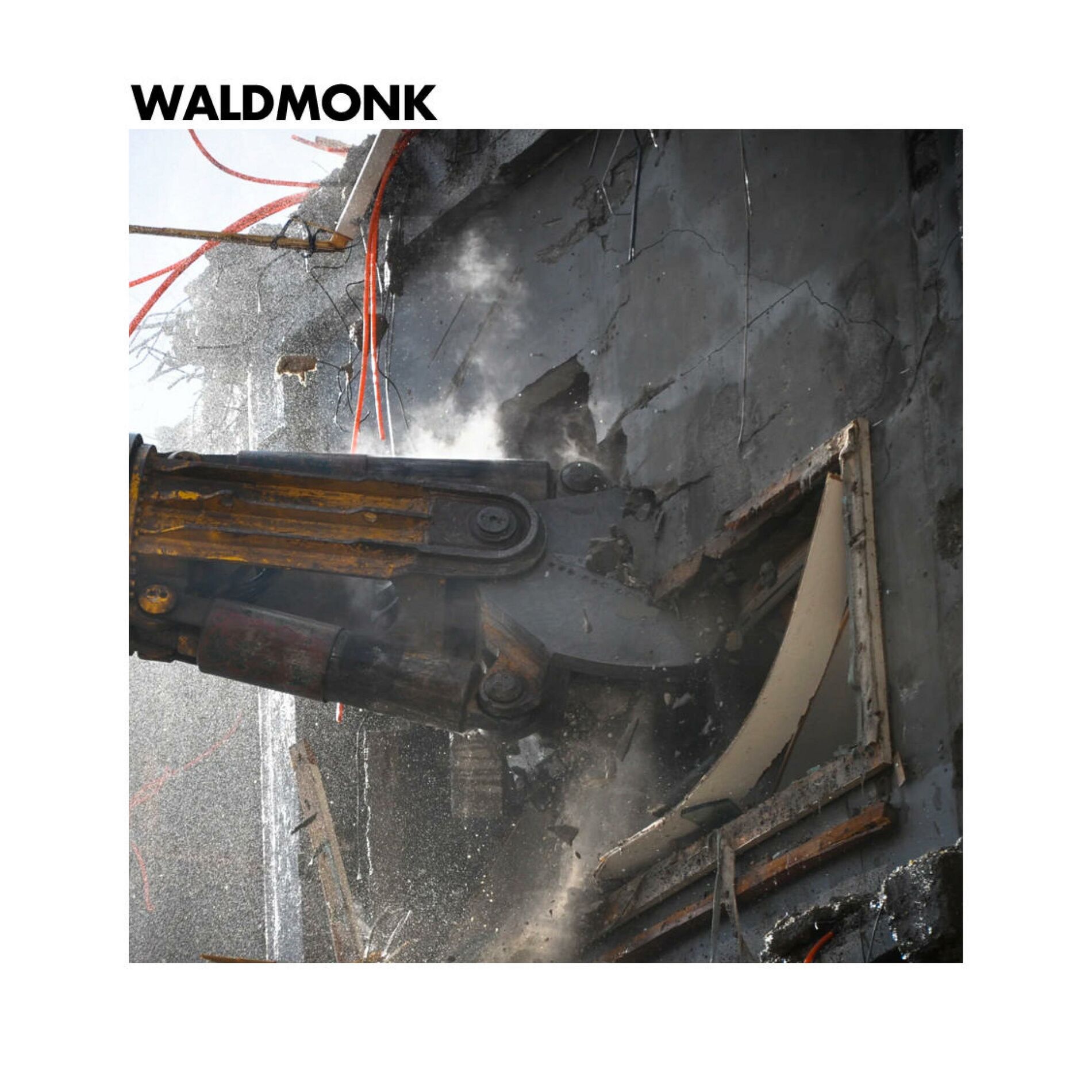 Album cover of WaldMonk