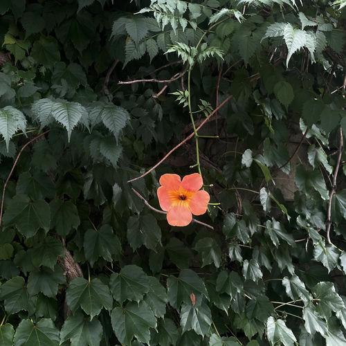 sangm1ee – everything has changed – Single