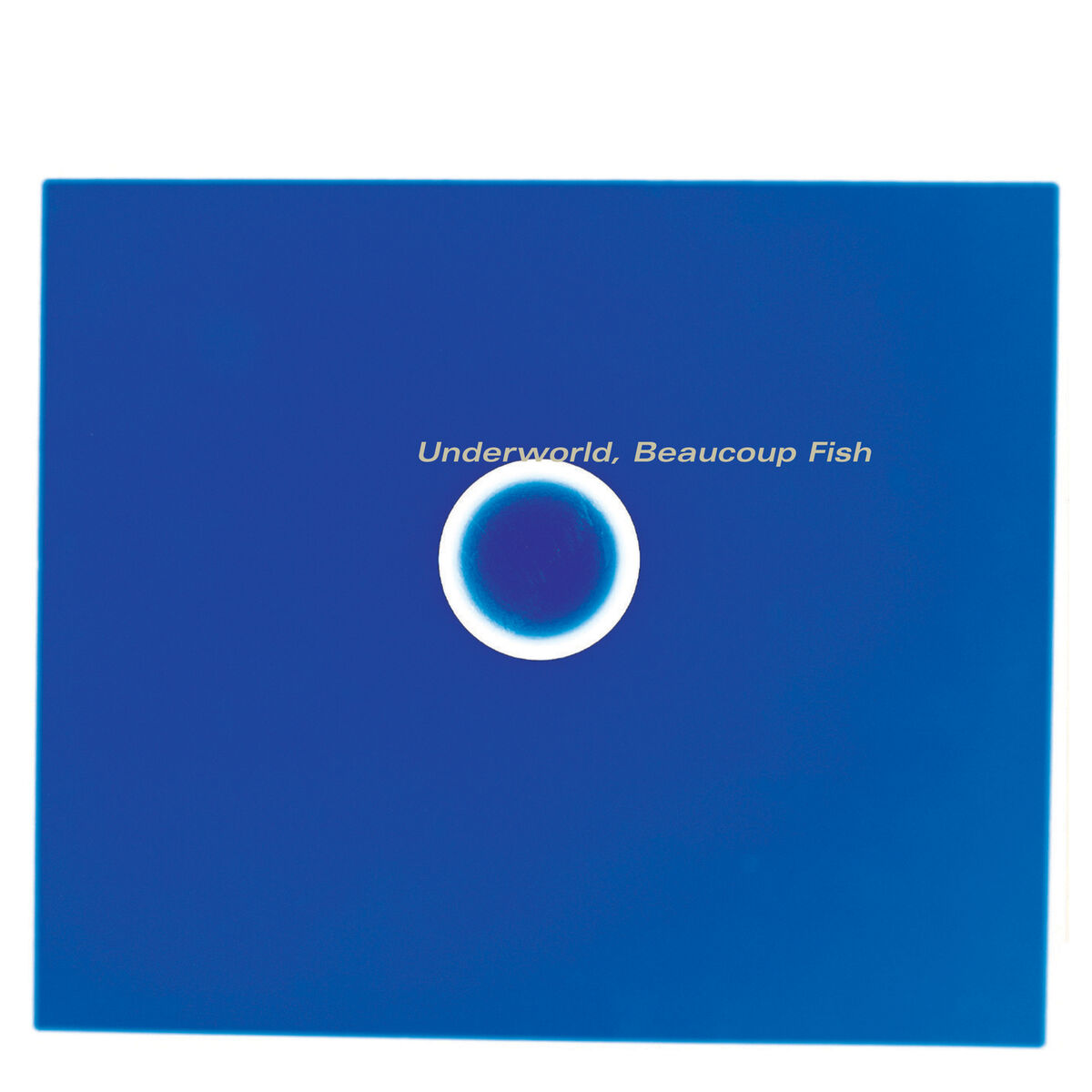 Album cover of Beaucoup Fish (Remastered)