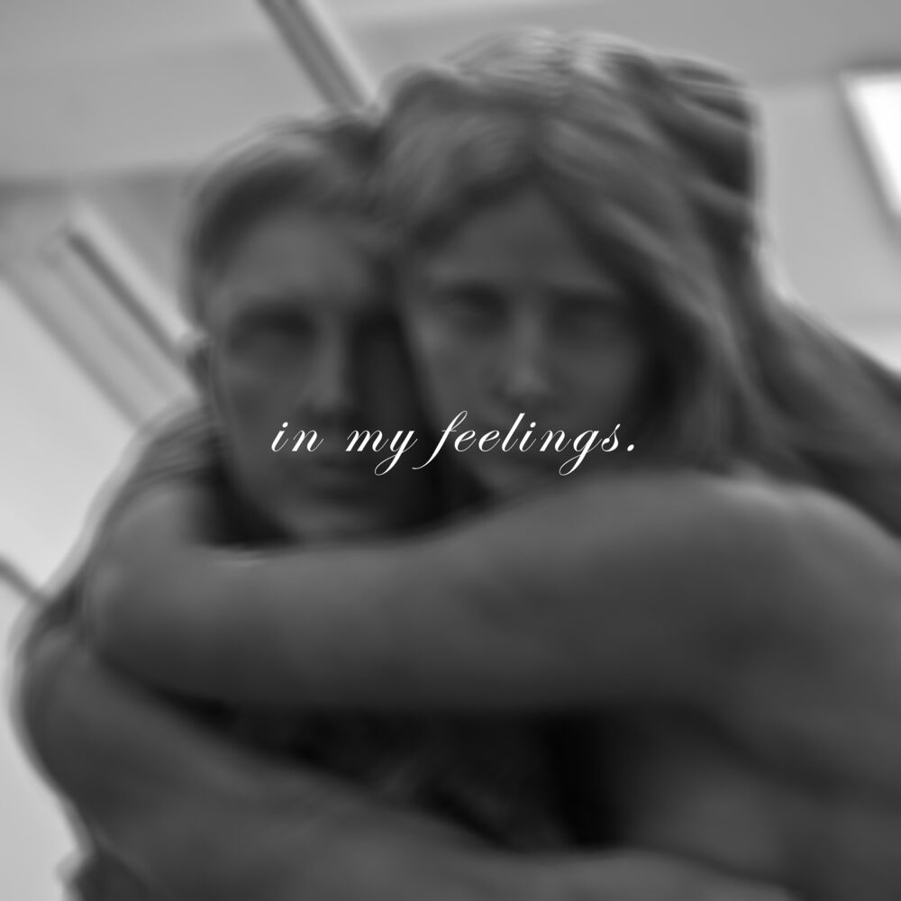 Picture of In My Feelings (Remix)