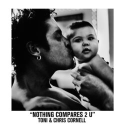 Cover of Nothing Compares 2 U