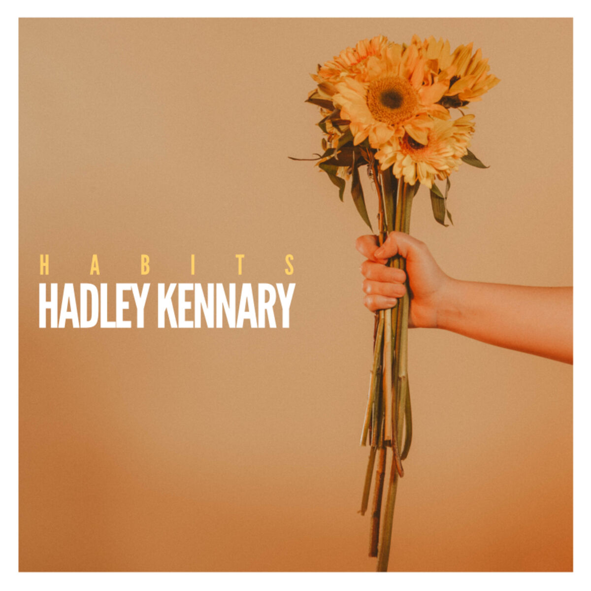 Album cover of Habits