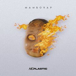Cover of No Plastic
