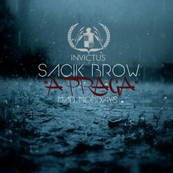 Cover of A Praga