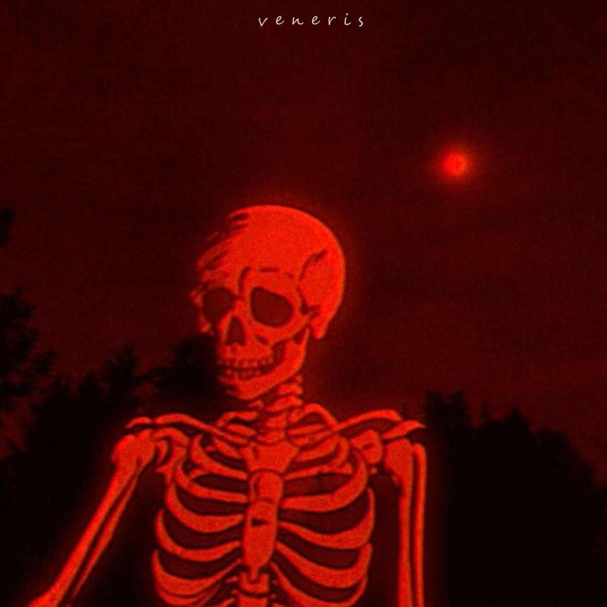 Album cover of Phonk Cemetery