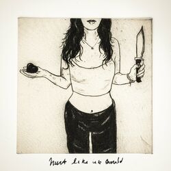Cover of hurt like it should