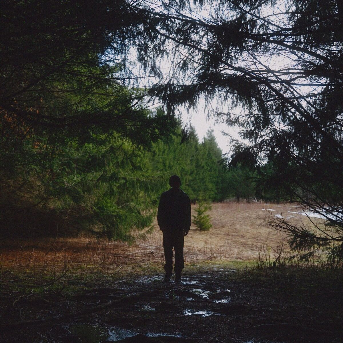 Album cover of Part of You