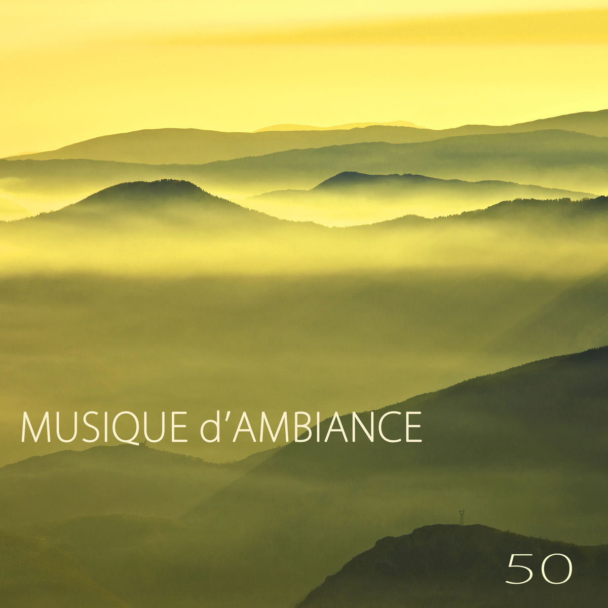 Album cover of Musique d'ambiance – Détente musique ambiance zen pour yoga, relaxation et autogenes training