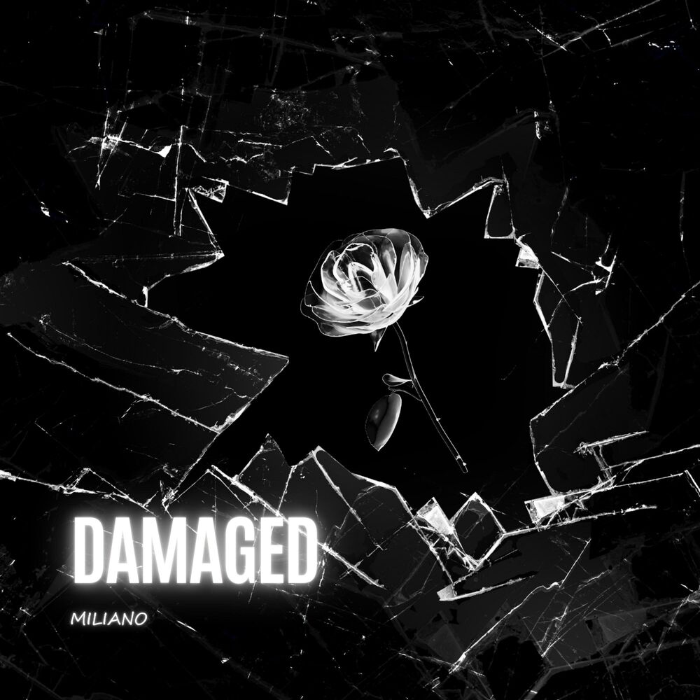Picture of Damaged