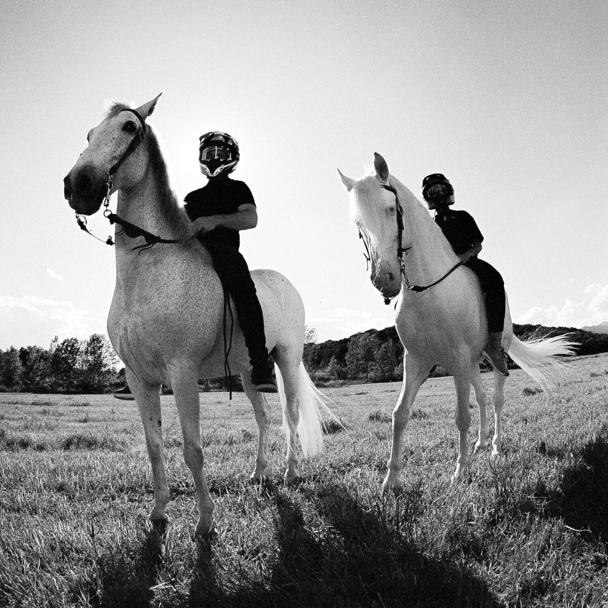 Album cover of LOEWE