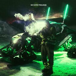 Cover of No Hard Feelings