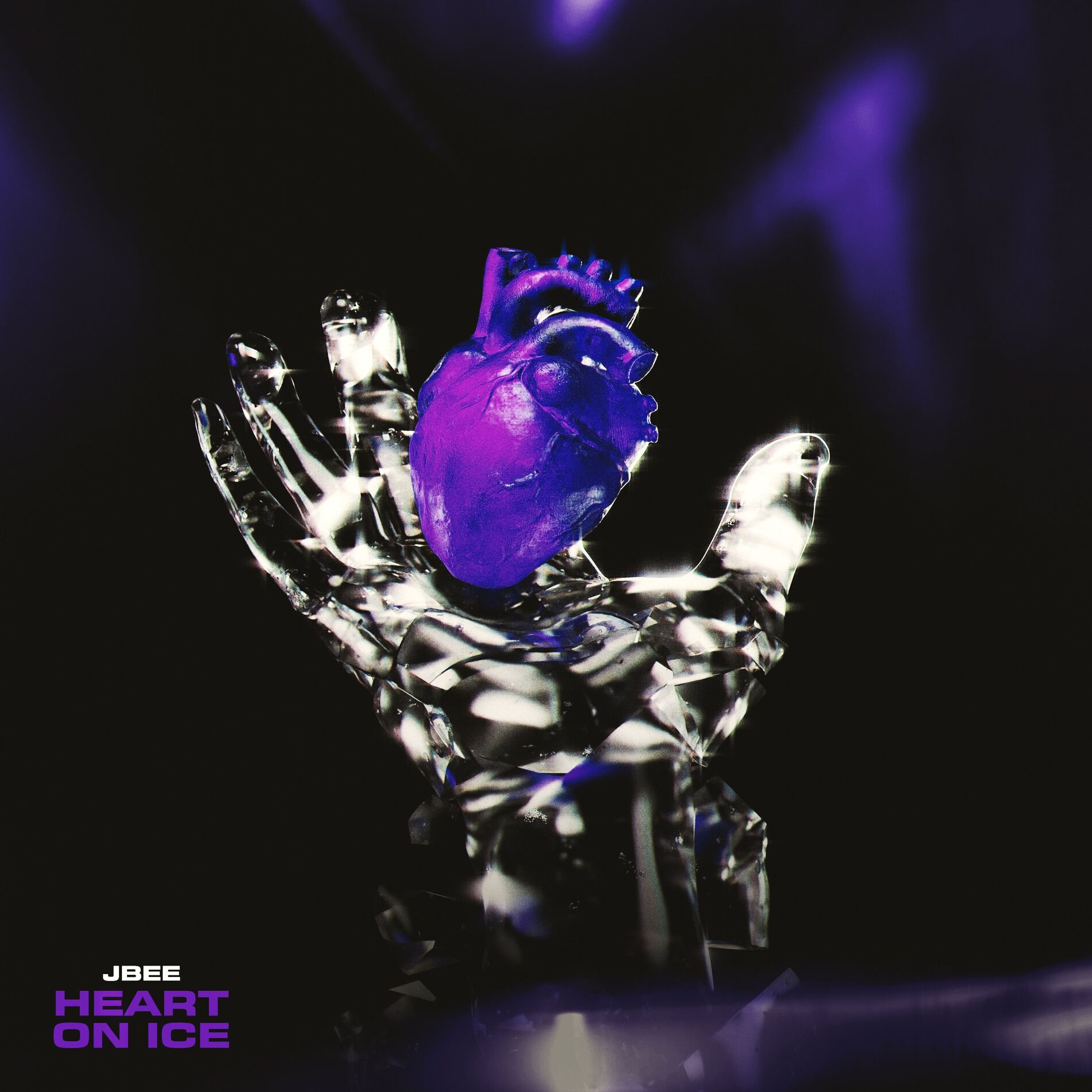 Album cover of Heart On Ice