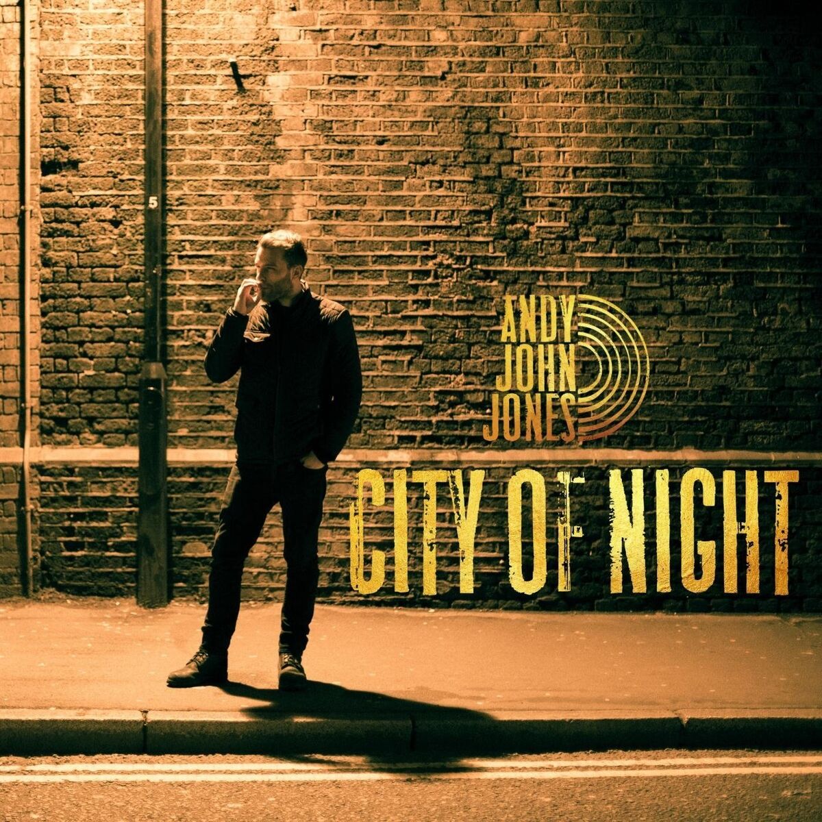 Album cover of City of Night