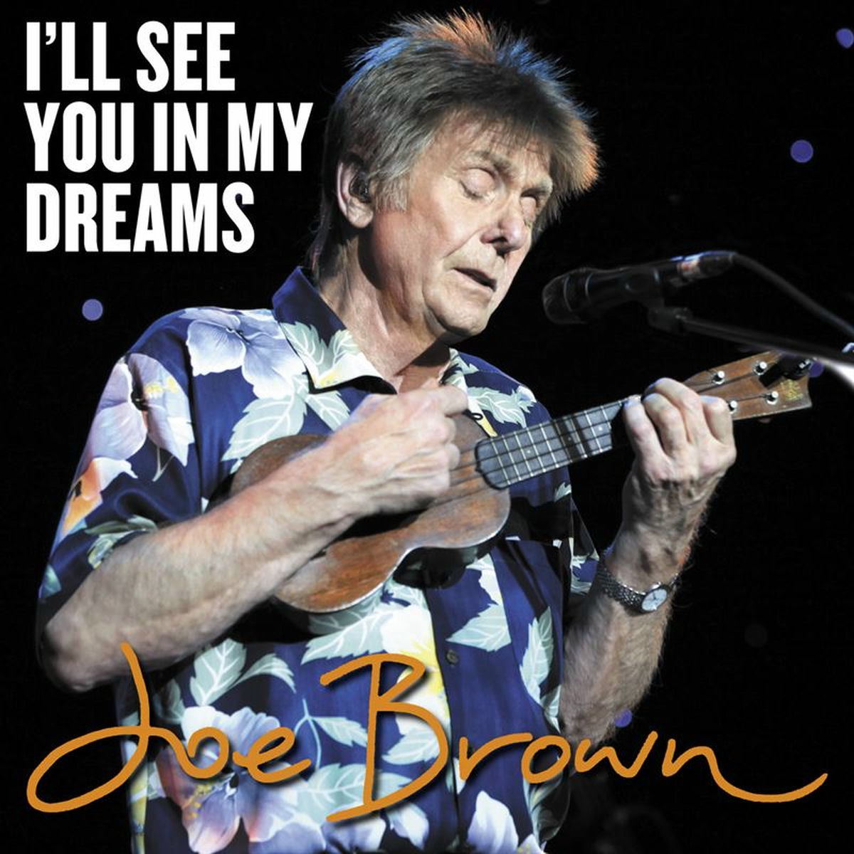 Album cover of I'll See You In My Dreams