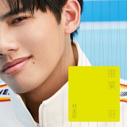 Cover of Bi Ye Ge