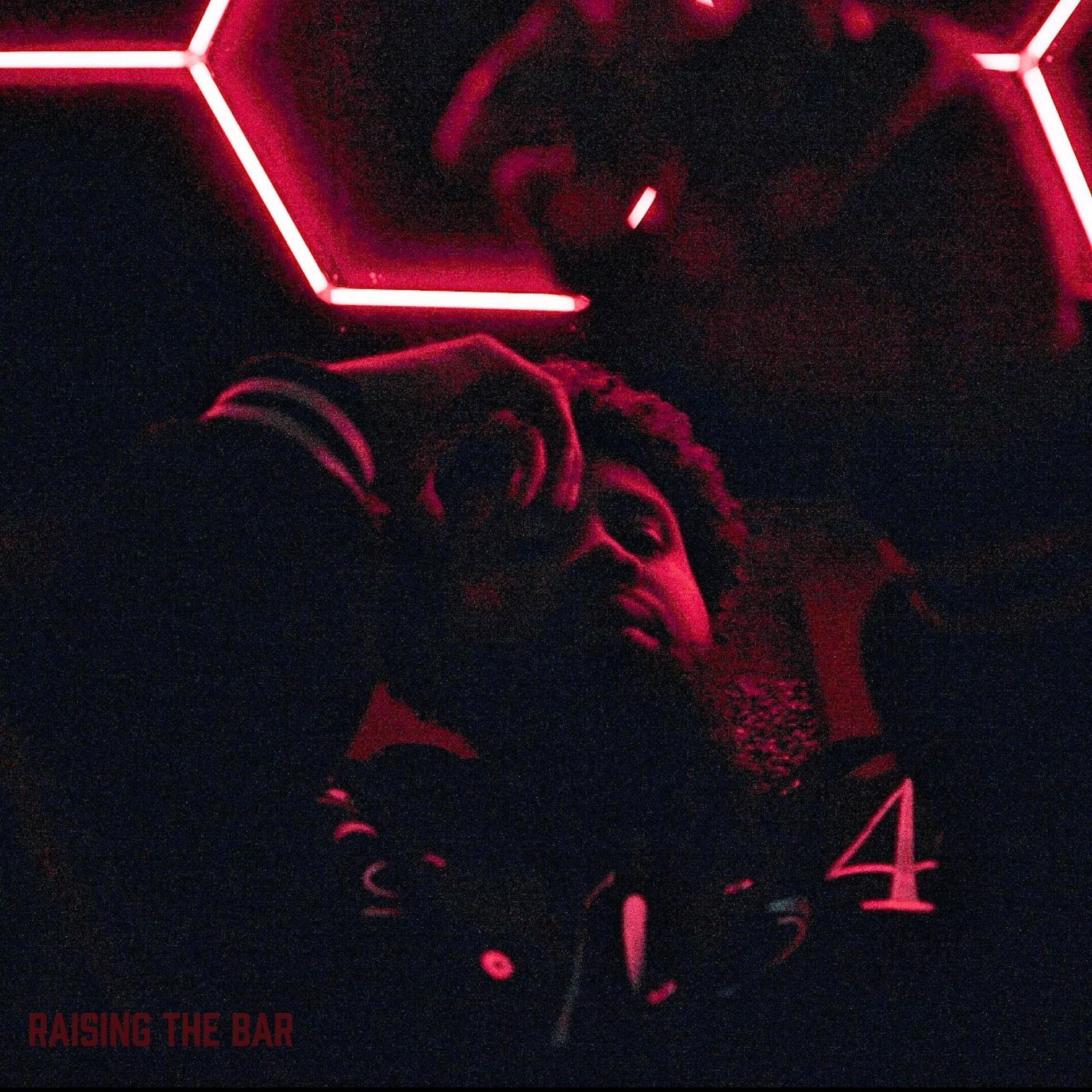 Album cover of Raising The Bar