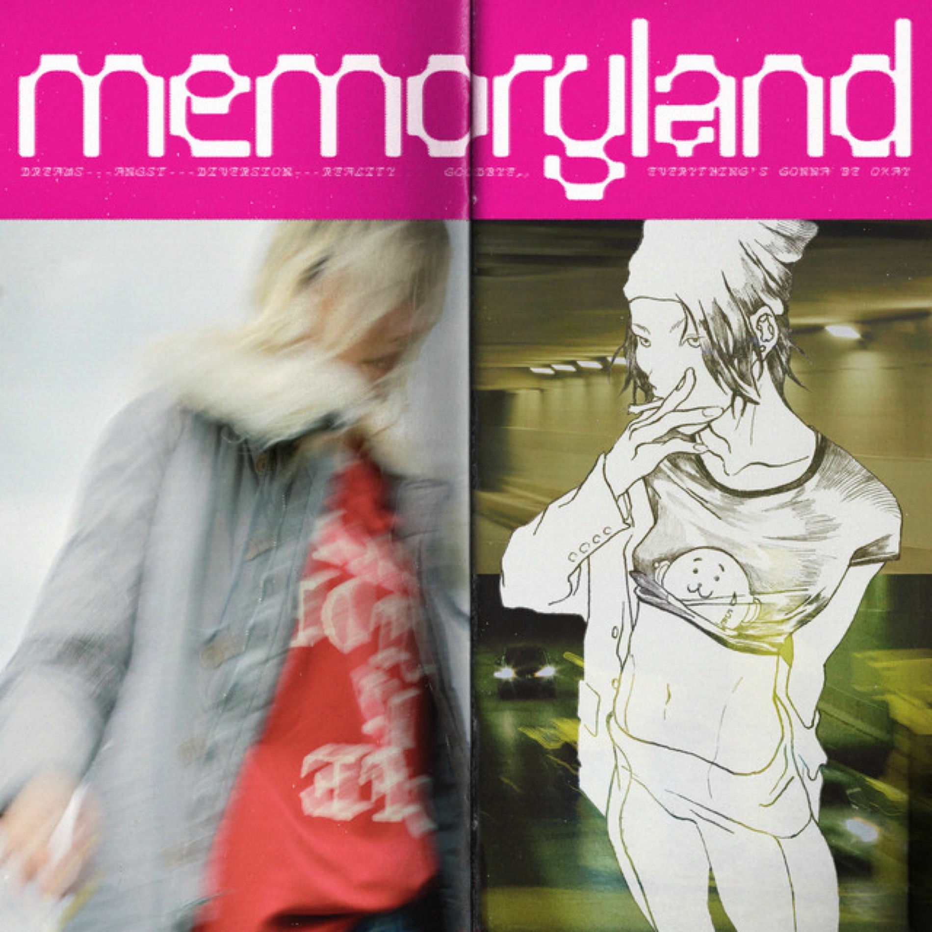 Album cover of memoryland