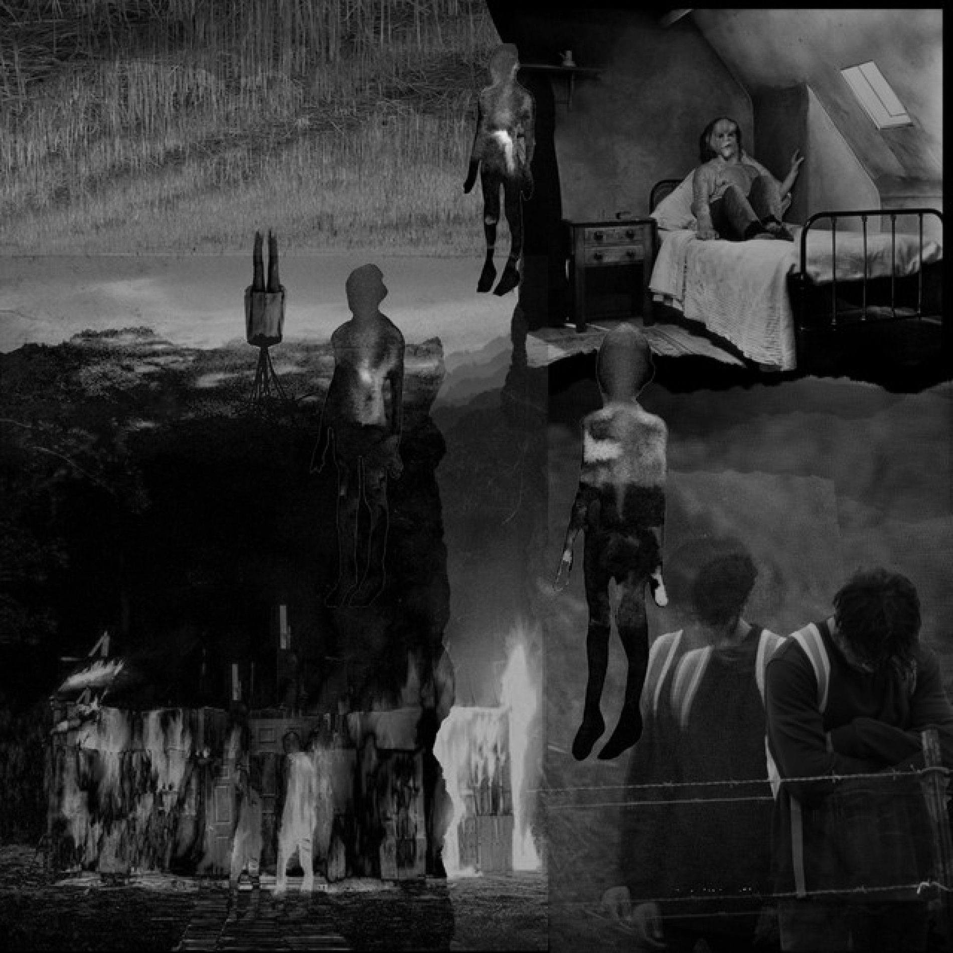 Album cover of Kill The Elephant In The Room