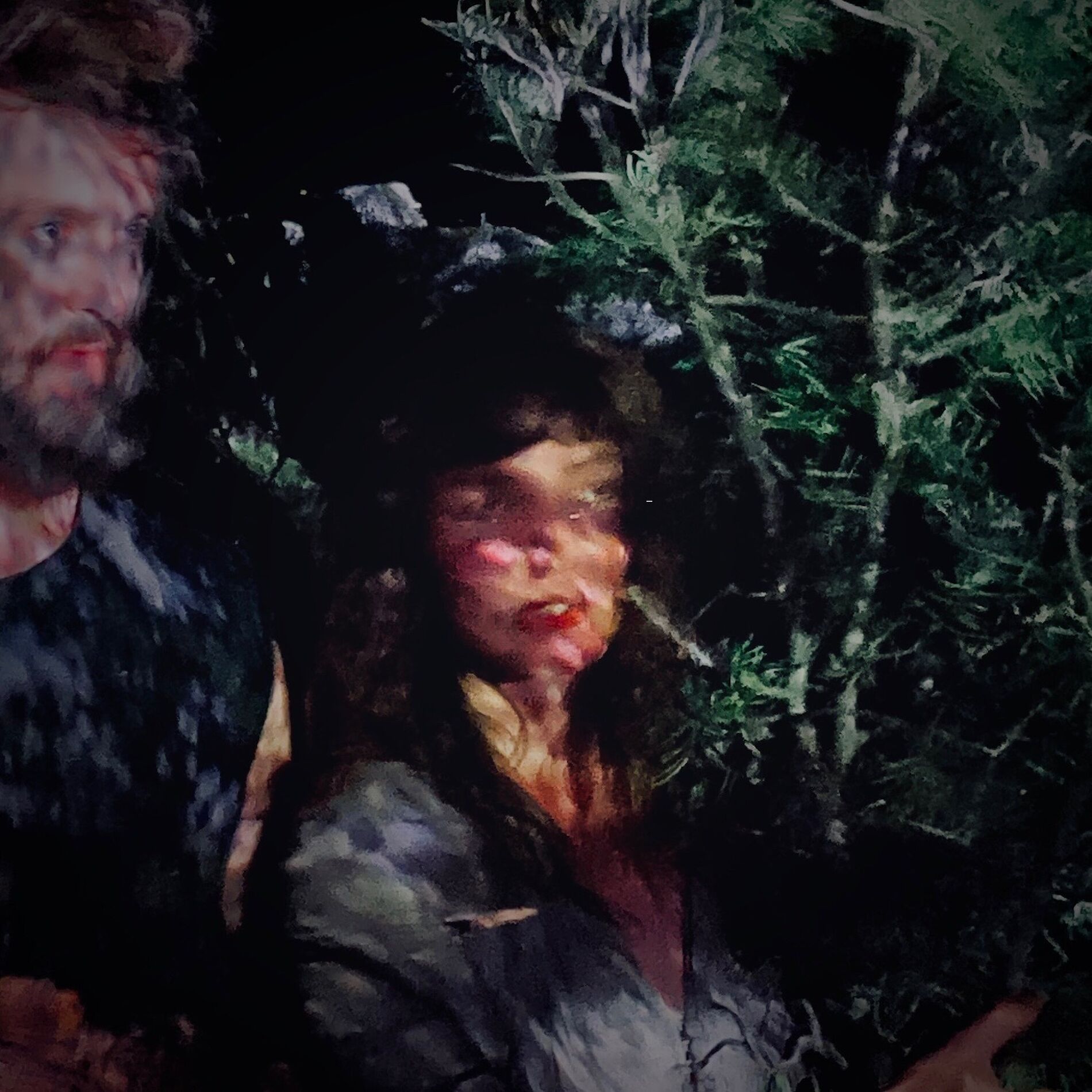 Album cover of Forest