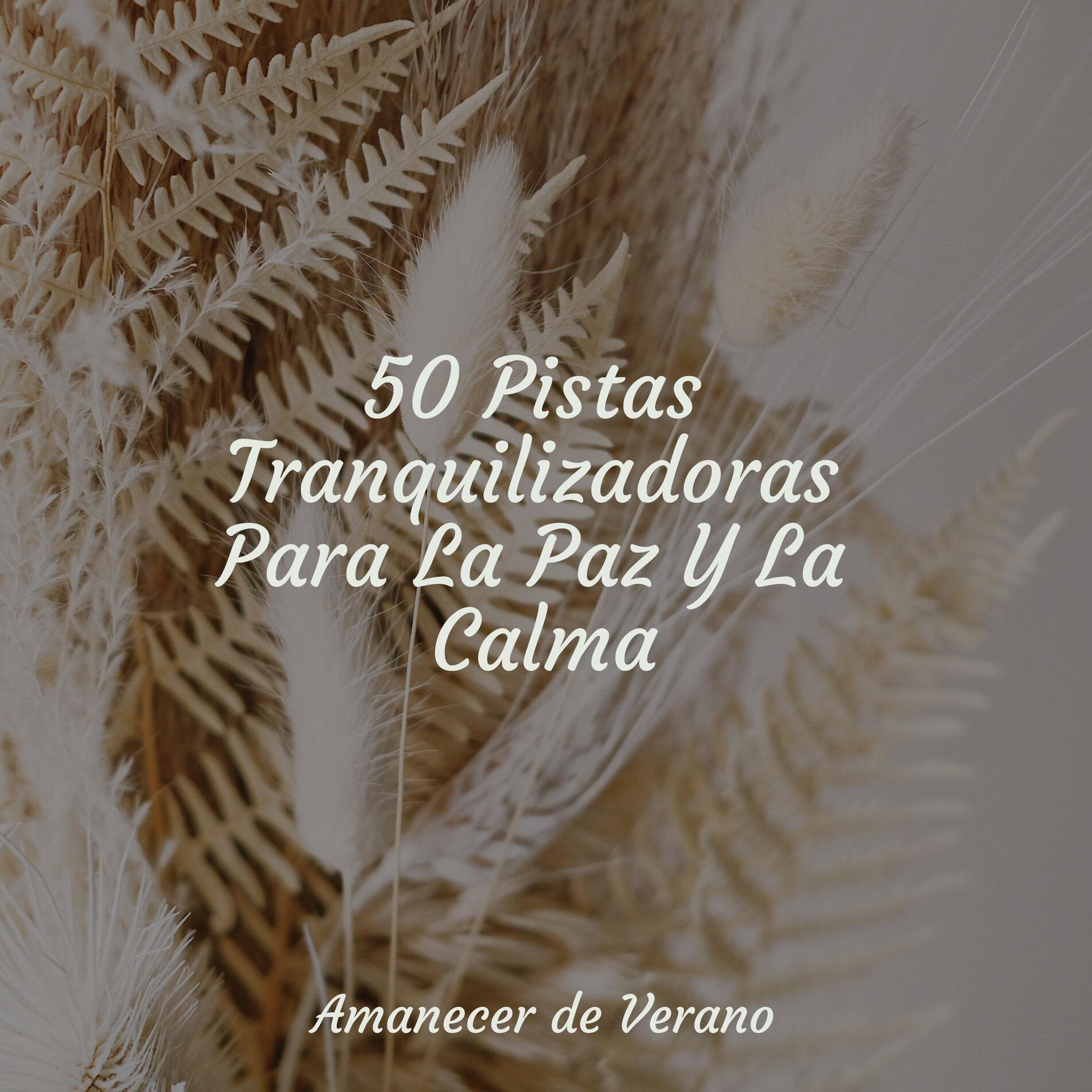Album cover of 50 Pistas Tranquilizadoras Para La Paz Y La Calma