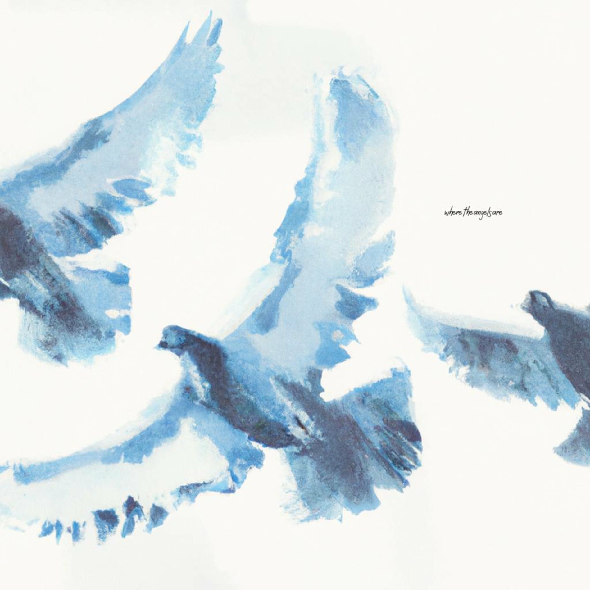 Album cover of Where The Angels Are