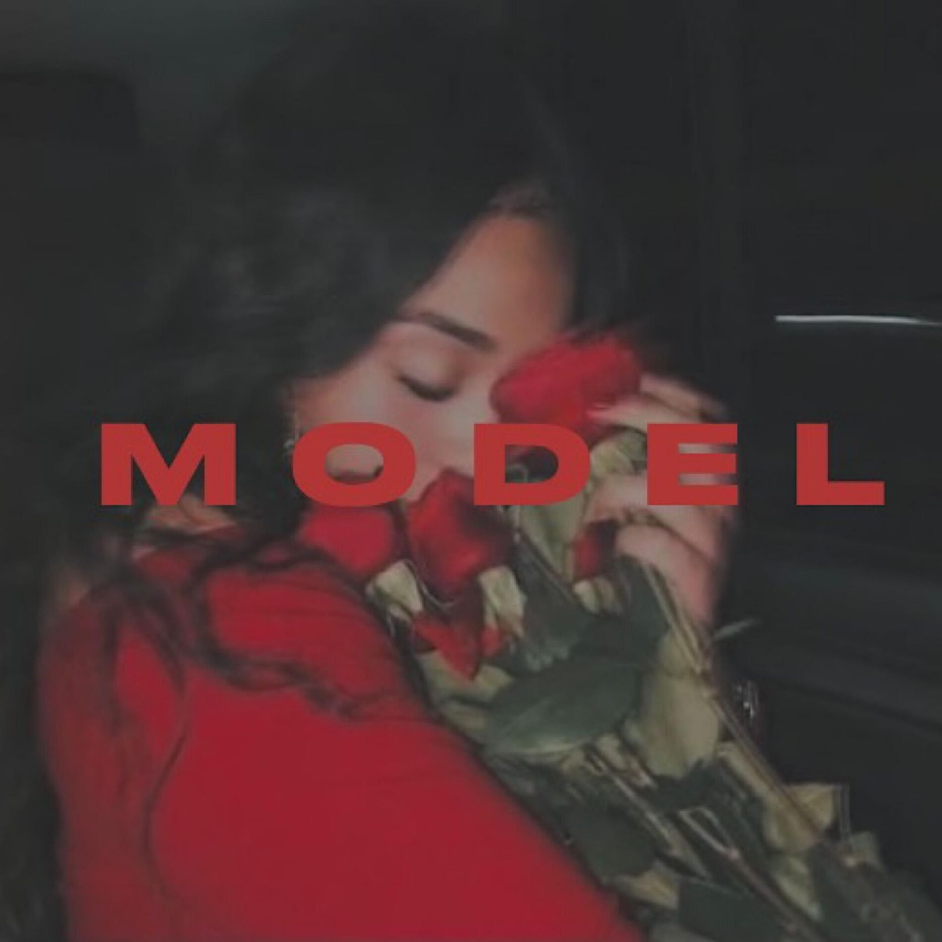 Album cover of Model