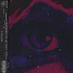 Cover of Windows to My Soul
