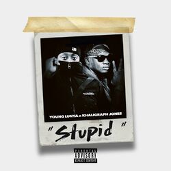 Cover of Stupid