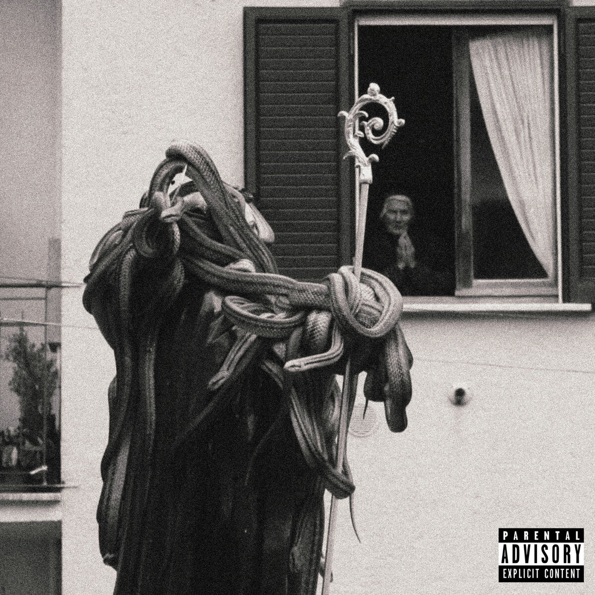 Album cover of Still Shining