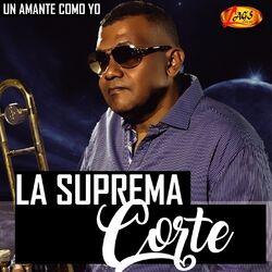 Cover of Un Amante Como Yo