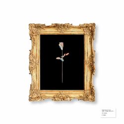 Cover of As I Am