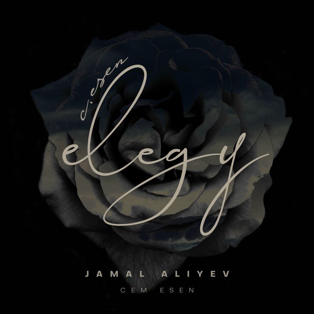 Picture of Elegy