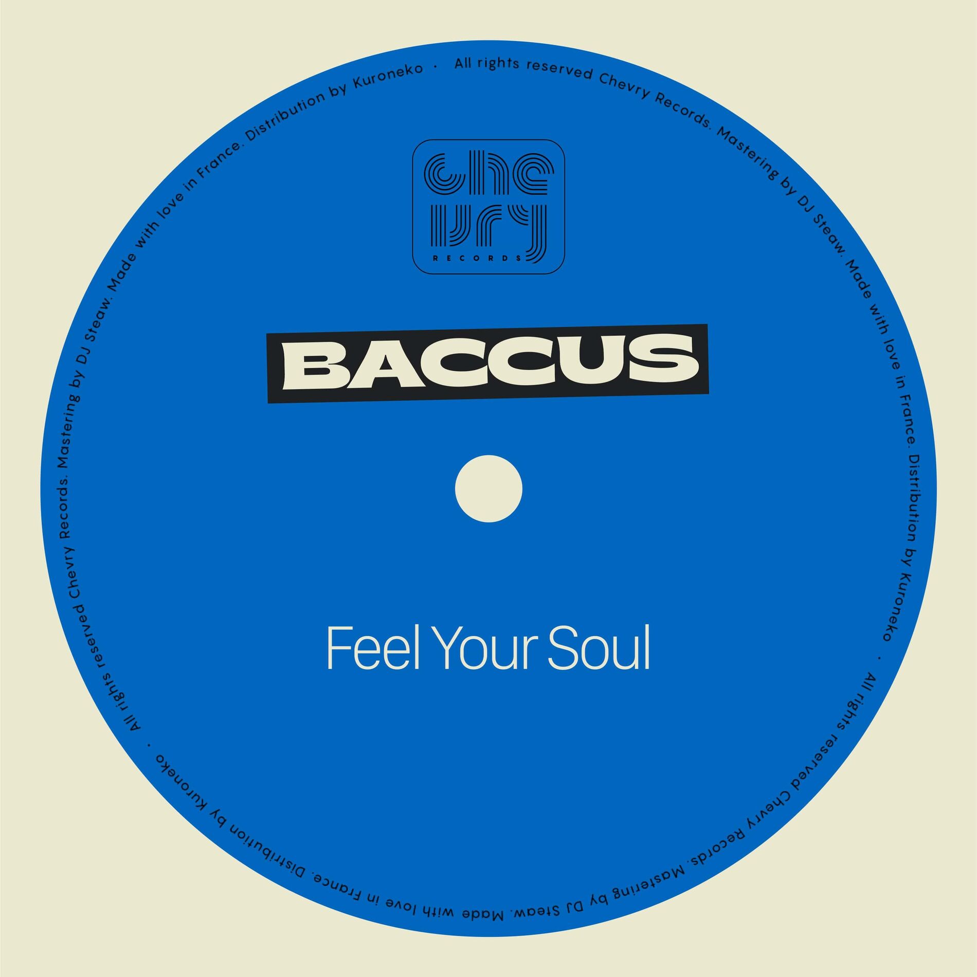 Album cover of Feel Your Soul