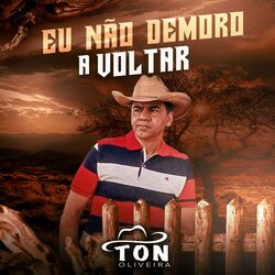 Cover of Eu Não Demoro a Voltar