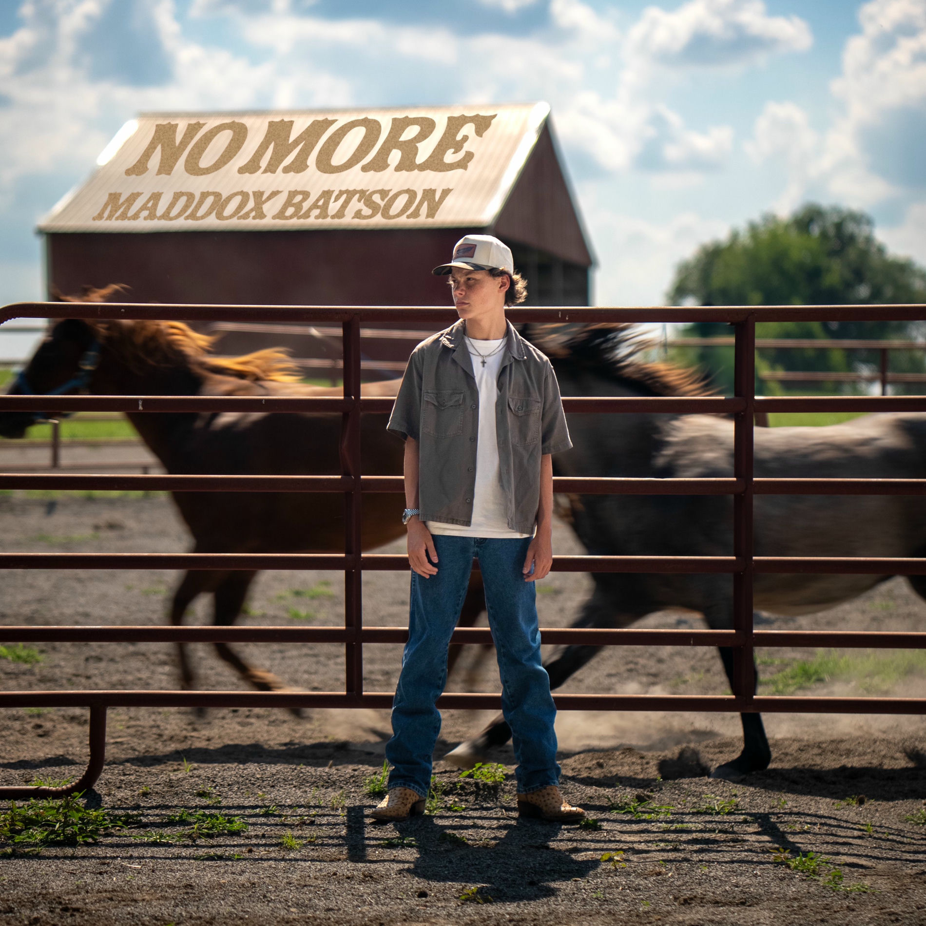 Album cover of No More