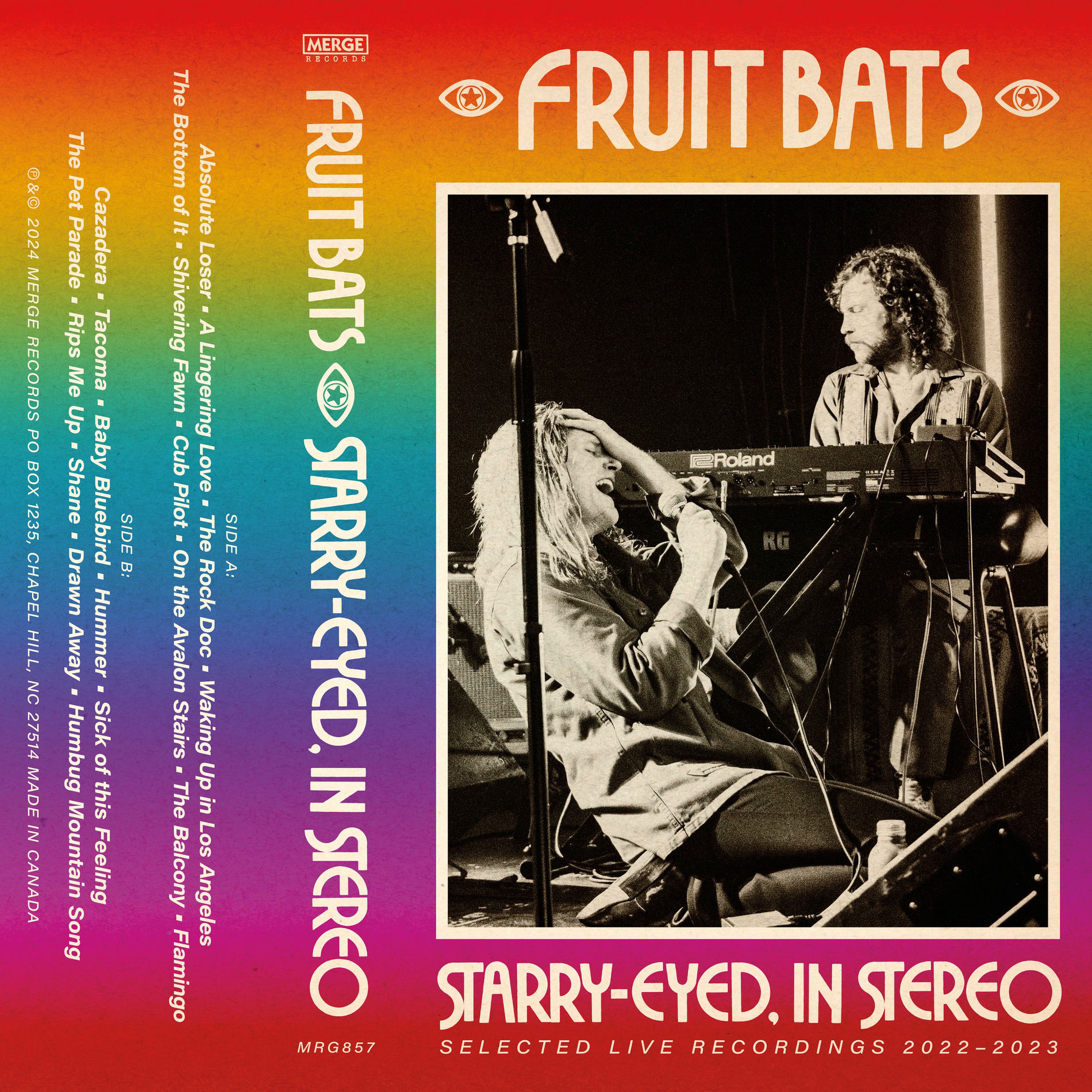 Album cover of Starry-eyed, in Stereo