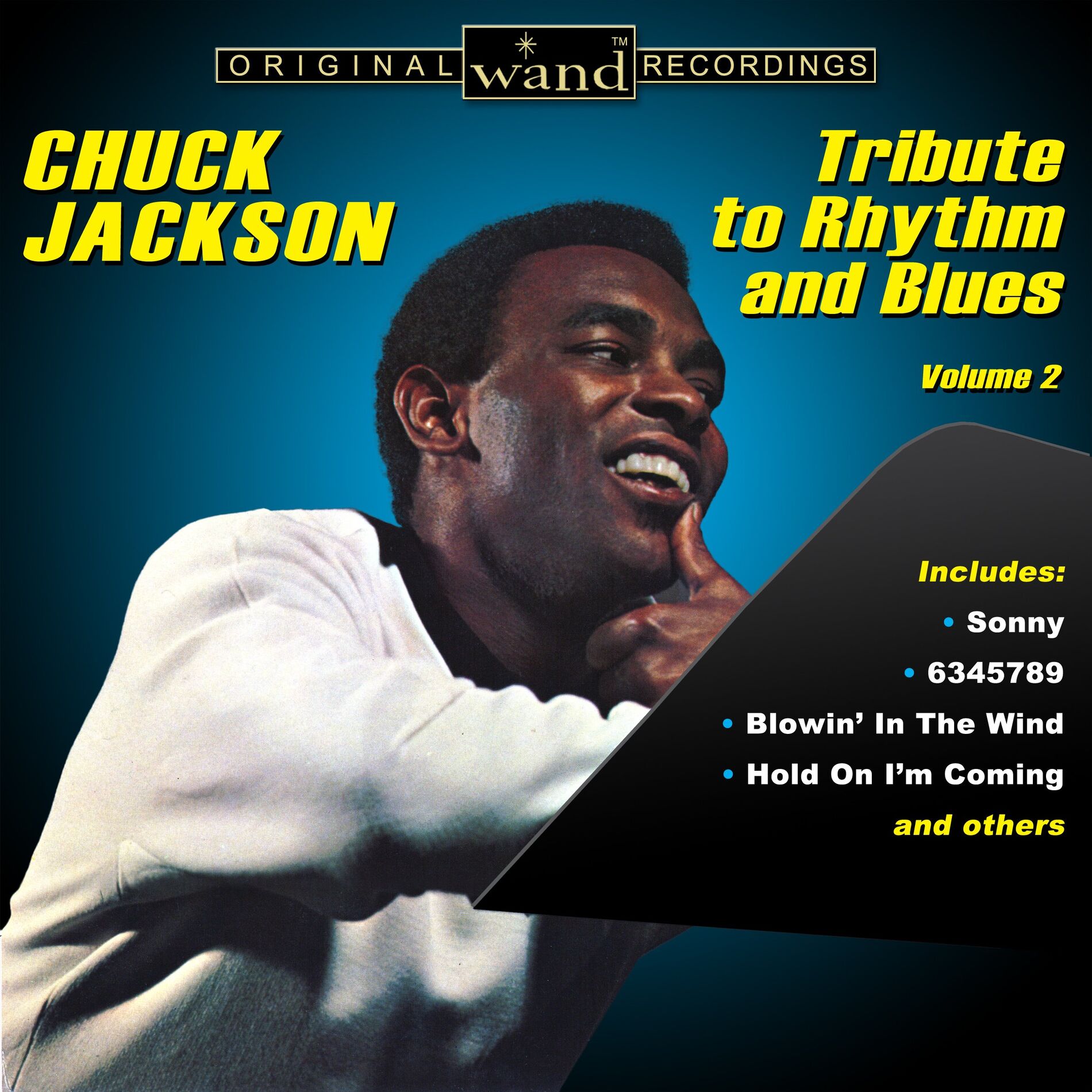 Album cover of Tribute To Rhythm And Blues - Volume 2