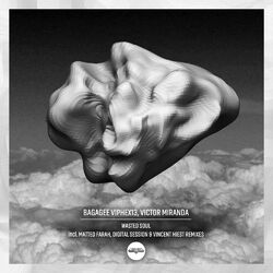 Cover of Wasted Soul