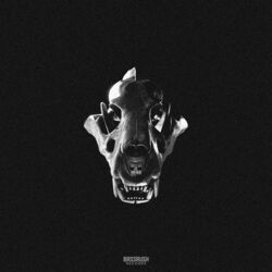Cover of Maw