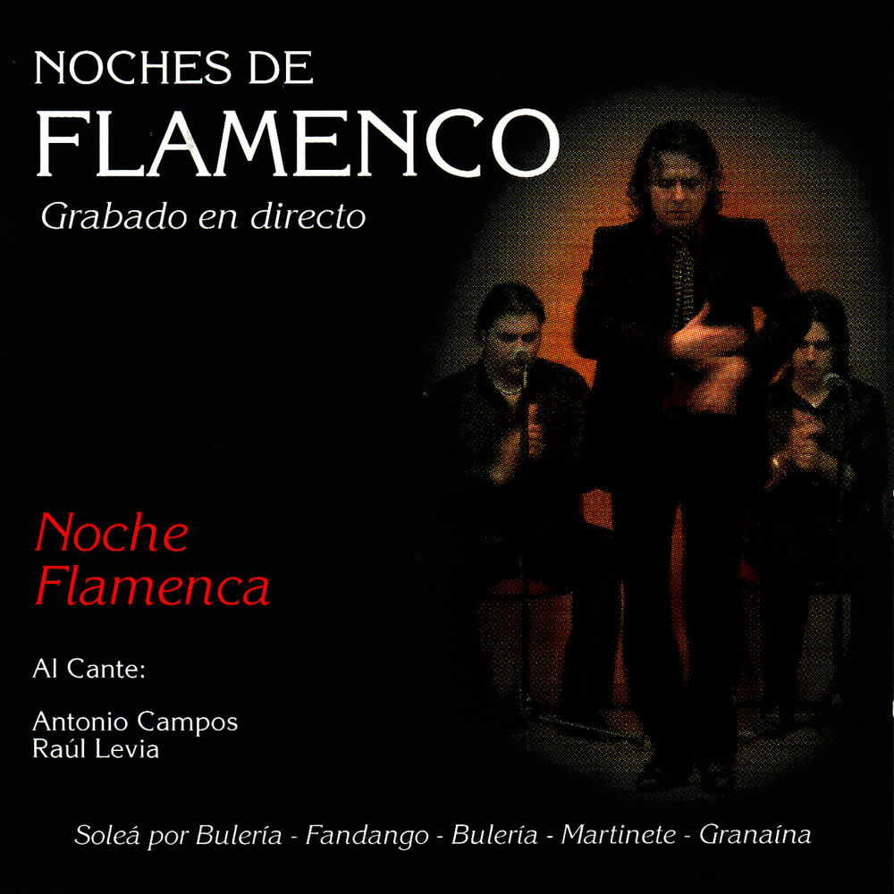 Picture of Noches de Flamenco - Noche Flamenca