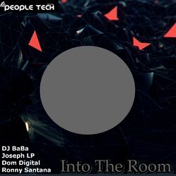 Cover of Into the Room