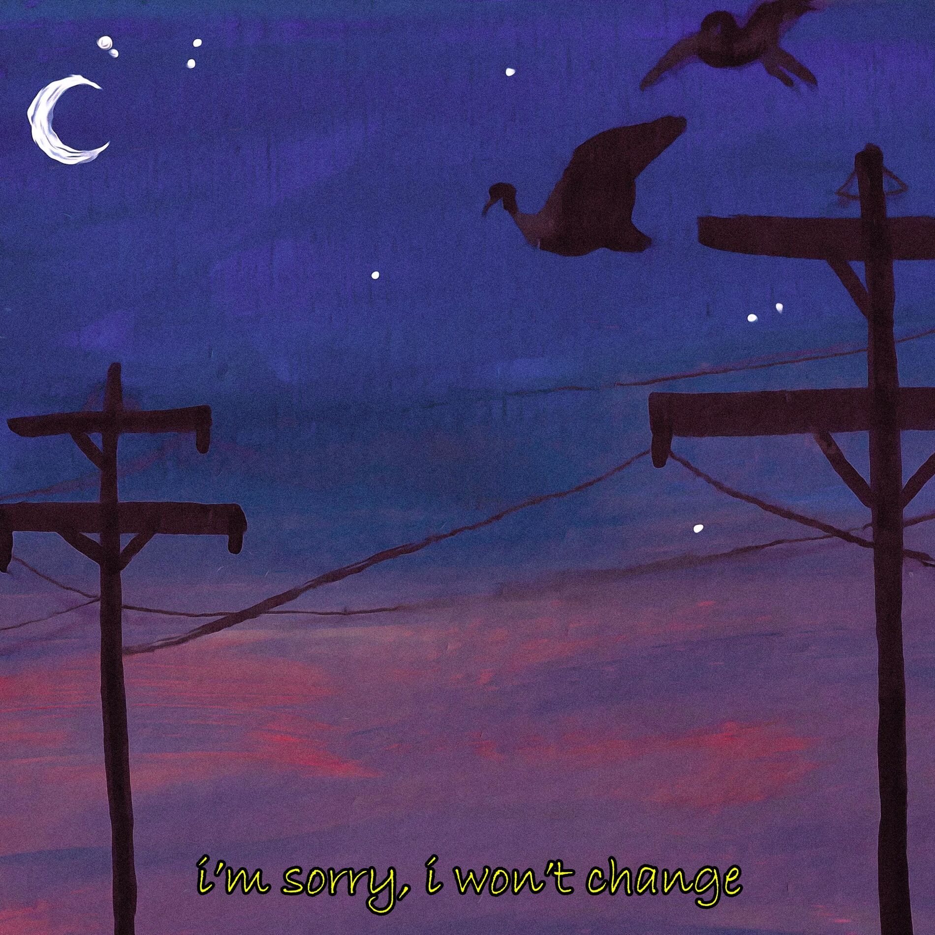 Album cover of i'm sorry, i won't change